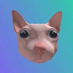 Bingus The Cat logo