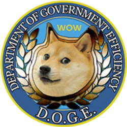 Department Of Government Efficiency logo