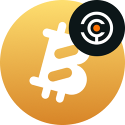 Solv Protocol xSolvBTC logo