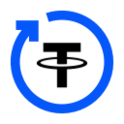 USDT yVault logo