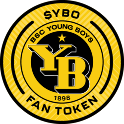 Wrapped BSC Young Boys (Kayen) logo