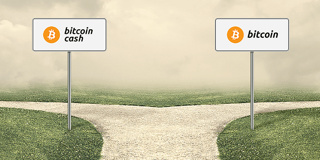 Bitcoin Bitcoin Cash